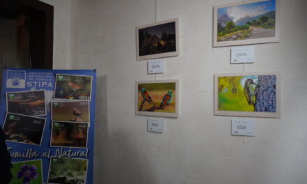 Stipa celebra su 15 aniversario exponiendo 45 fotografías de su calendario “Jumilla al natural”