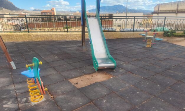 El PSOE pide que se continúe con la mejora del Jardín de la plaza don Juan Paco Baeza