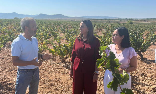 Jumilla es el segundo municipio mayor beneficiado con las ayudas del Gobierno regional a viticultores