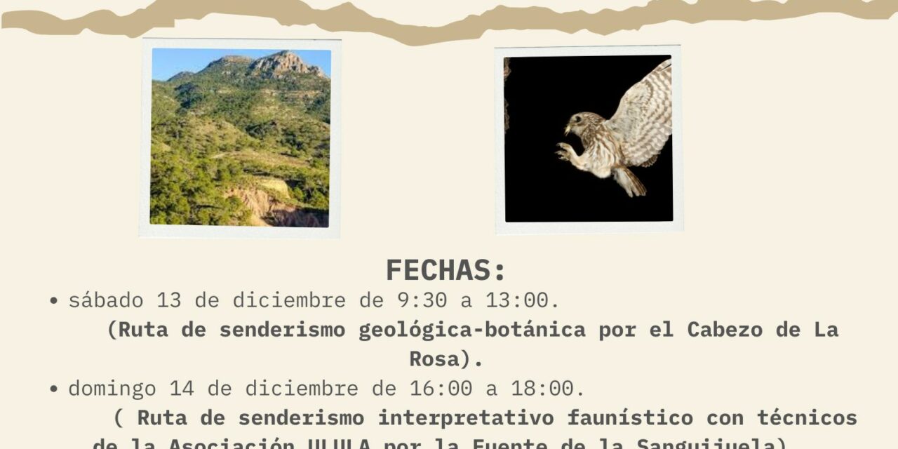 Stipa organiza dos rutas interpretativas los días 13 y 14 de diciembre a la Sierra del Carche