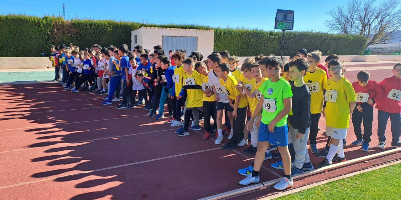 El Cross Escolar reunió a más de 800 atletas en el Polideportivo