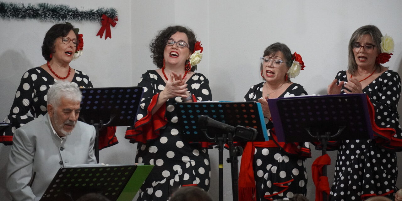 Las VII Navidades Rocieras solidarias recogen más de 150 kg de alimentos