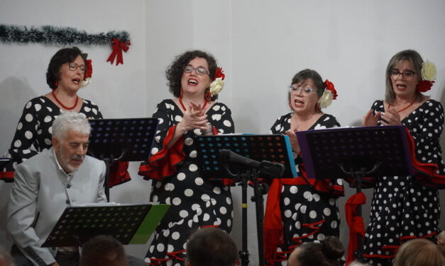 Las VII Navidades Rocieras solidarias recogen más de 150 kg de alimentos