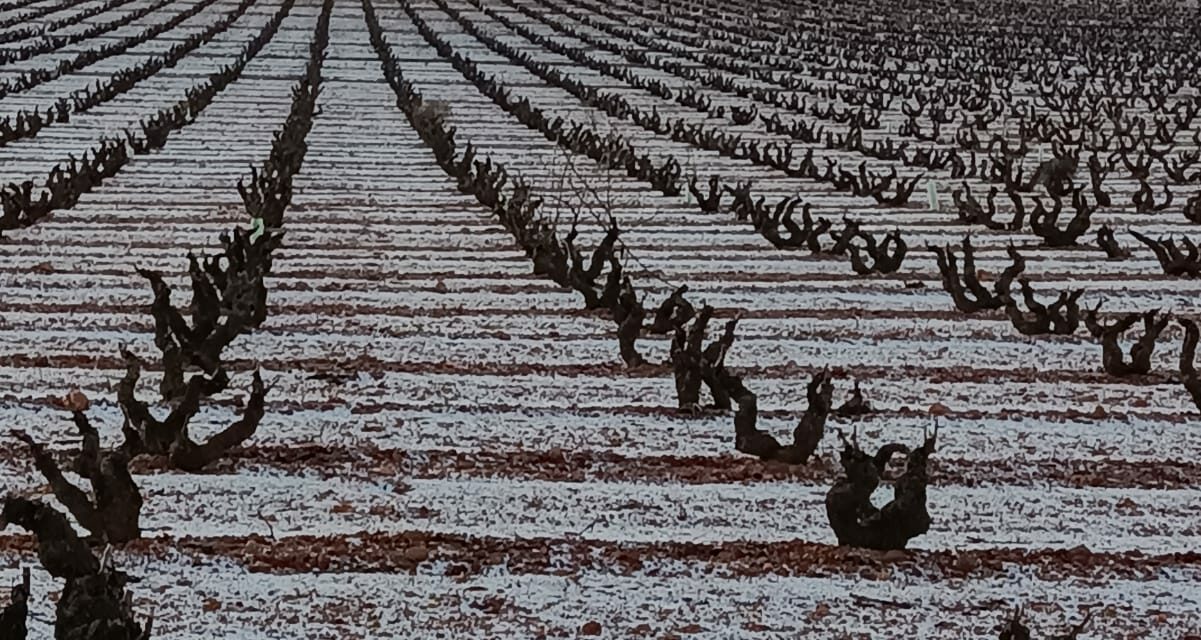 Lluvia y probabilidad de nieves en Reyes