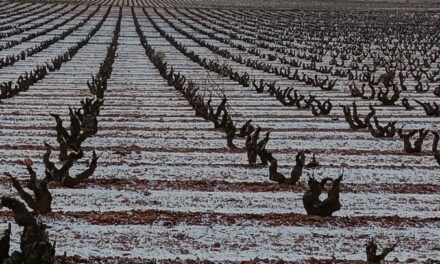 Lluvia y probabilidad de nieves en Reyes