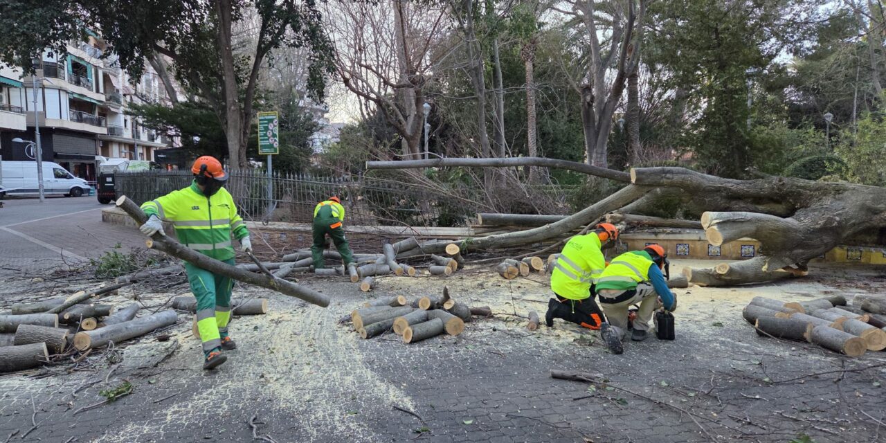 Policía Local, Guardia Civil y Bomberos atienden cerca de medio centenar de incidencias por el temporal de viento