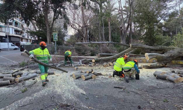 Policía Local, Guardia Civil y Bomberos atienden cerca de medio centenar de incidencias por el temporal de viento