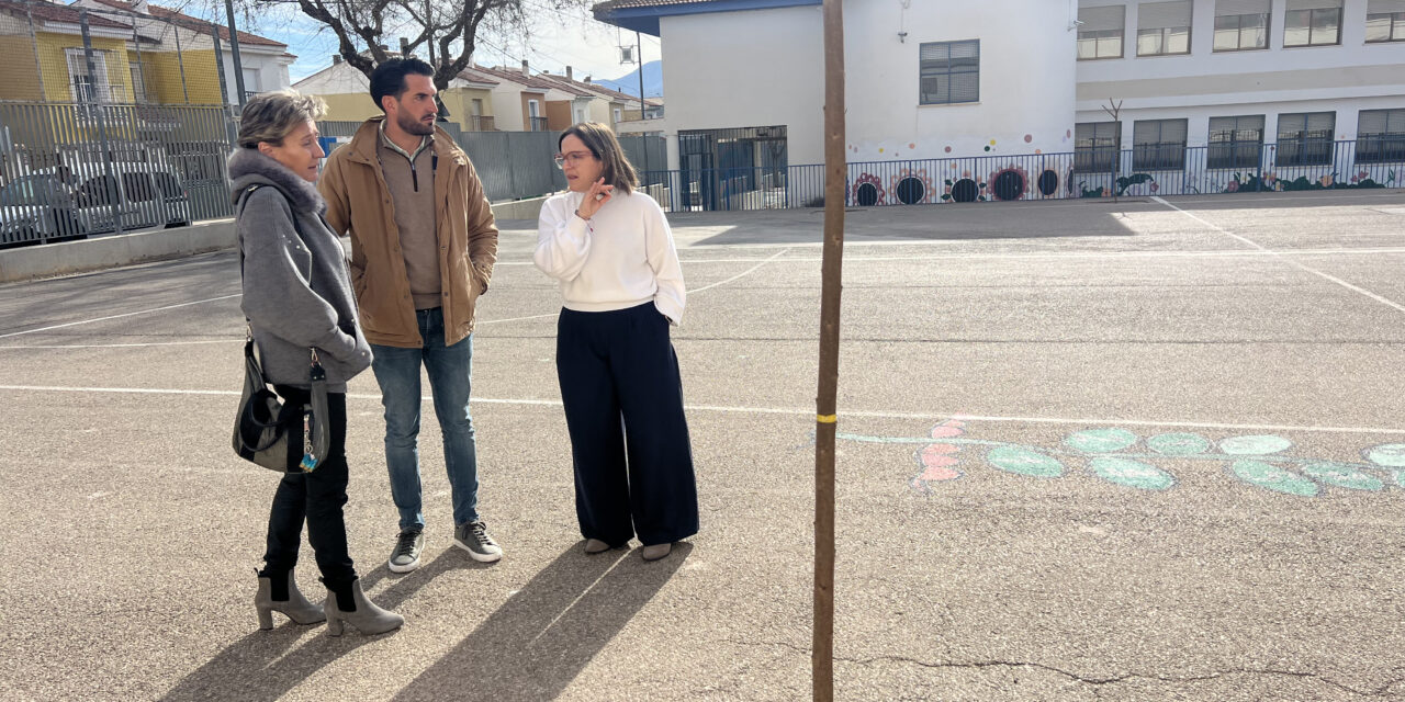 Ocho centros educativos se han beneficiado del Plan Sombra con la plantación de árboles
