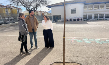 Ocho centros educativos se han beneficiado del Plan Sombra con la plantación de árboles