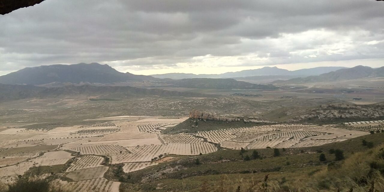 El viento será el protagonista en los próximos días
