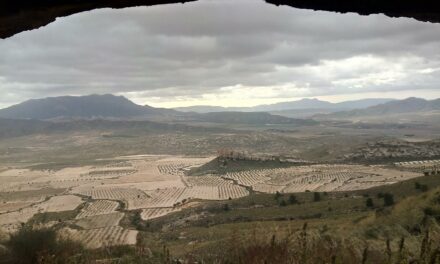 El viento será el protagonista en los próximos días