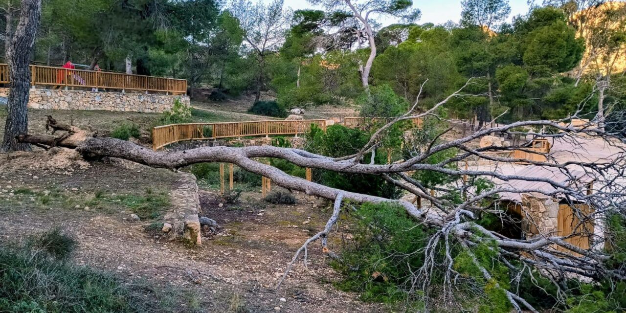 Enero: Mes de temporales que dejó un día, medio centenar de incidencias en Jumilla por el viento