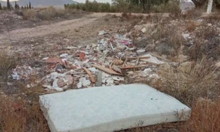 Medio Ambiente intensifica la limpieza en solares y puntos críticos de vertidos incontrolados