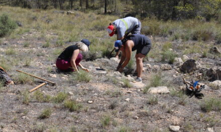 La necrópolis del Collado y Pinar de Santa Ana de Jumilla aparece en la revista Trabajos de Prehistoria