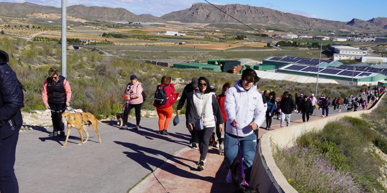 La marcha de 4 Patas recauda cerca de 1.000 euros para los animales enfermos