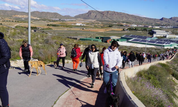 La marcha de 4 Patas recauda cerca de 1.000 euros para los animales enfermos