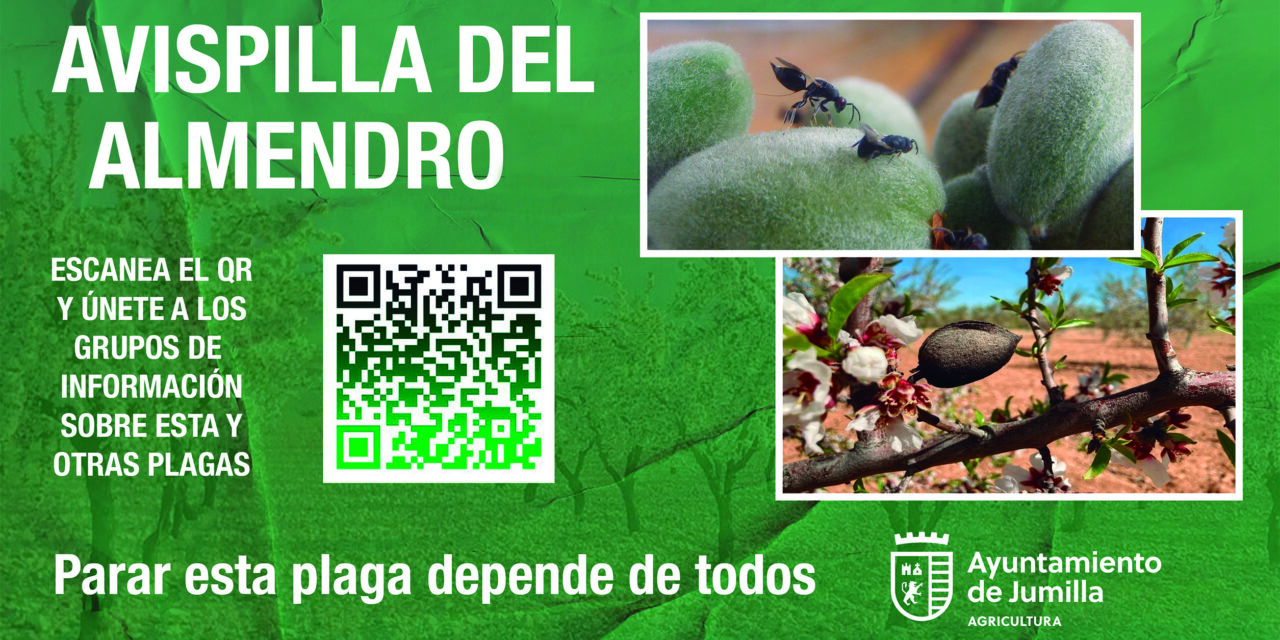 Agricultura informa del inicio del periodo para el tratamiento contra la avispilla del almendro