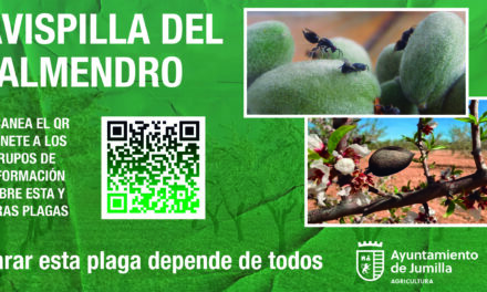 Agricultura informa del inicio del periodo para el tratamiento contra la avispilla del almendro