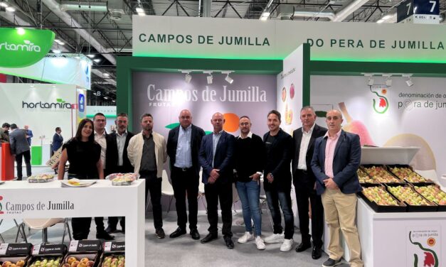 Campos de Jumilla cumple 40 años y se sitúa como una cooperativa consolidada