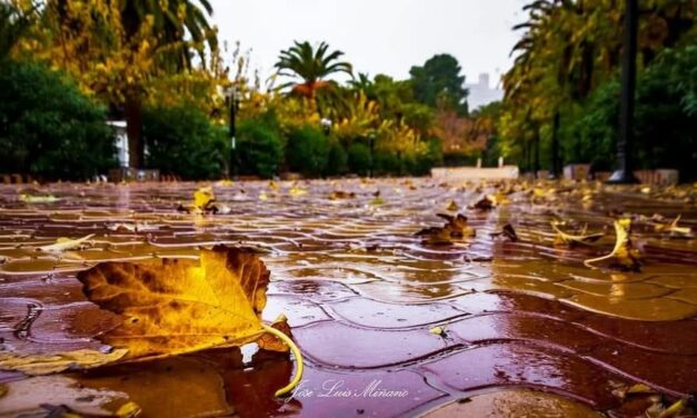 Fin de semana sin lluvias y con máximas de hasta 24 grados