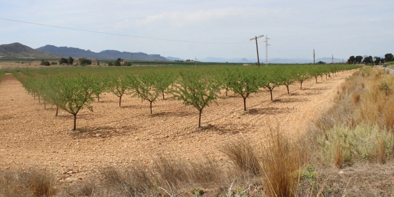 Vox propone un Plan Municipal de Prevención de robos en campos