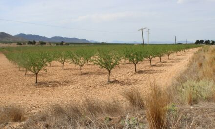 Vox propone un Plan Municipal de Prevención de robos en campos