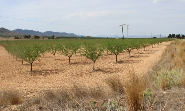 Vox propone un Plan Municipal de Prevención de robos en campos