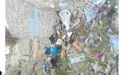 Un vecino ruega al Ayuntamiento que inspeccione y limpie los vertidos en la ladera del Castillo