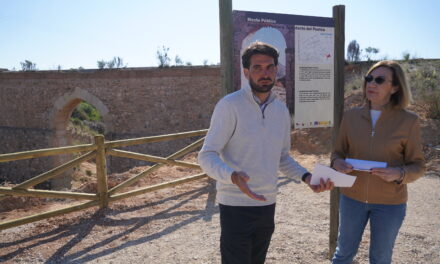 Medio Ambiente impulsa la renaturalización con el Plan Sombra y el Plan Más Arbolado