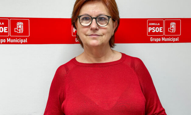 El grupo socialista denuncia la “manipulación” del PP con los datos del renting de vehículos