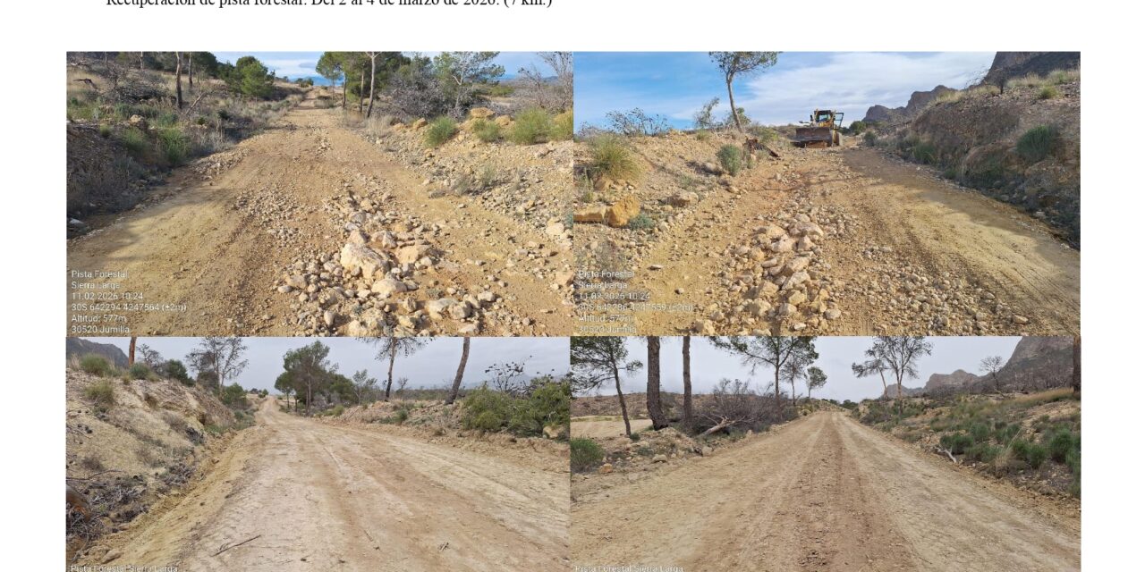 Agricultura ha actuado en más de 600 kilómetros de caminos rurales en 2025 y en unos 200, este año