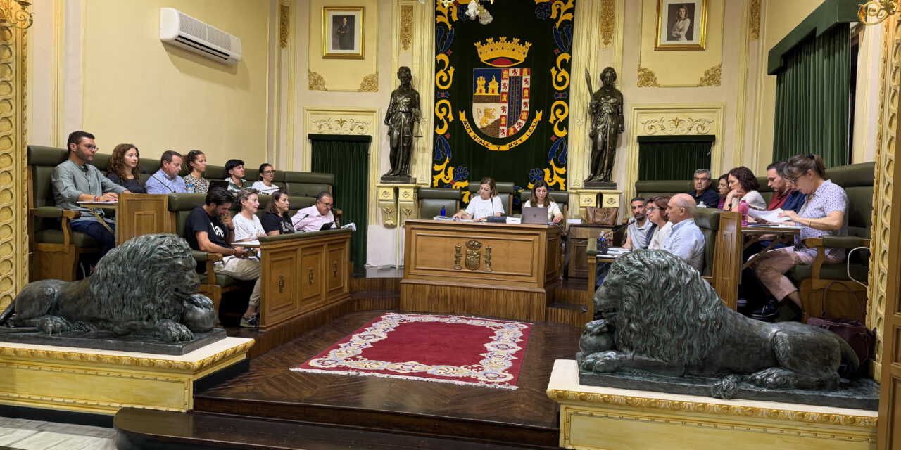 El grupo mixto Vox ‘se queda solo’ en el pleno con su moción sobre prioridad nacional