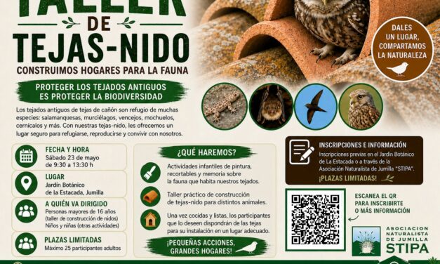 La Asociación Stipa celebra el Día Mundial del Medio Ambiente con varias actividades