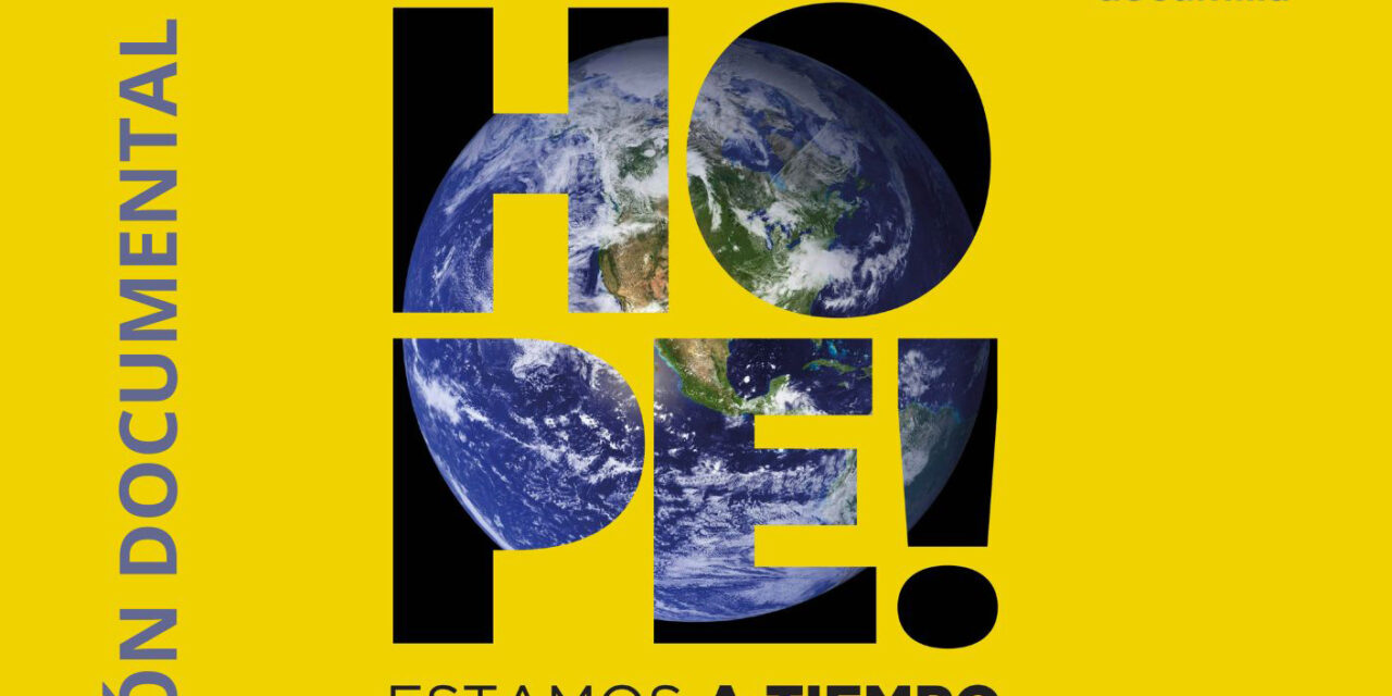 El Día del Medio Ambiente se celebra con actividades educativas y creativas junto a los centros escolares