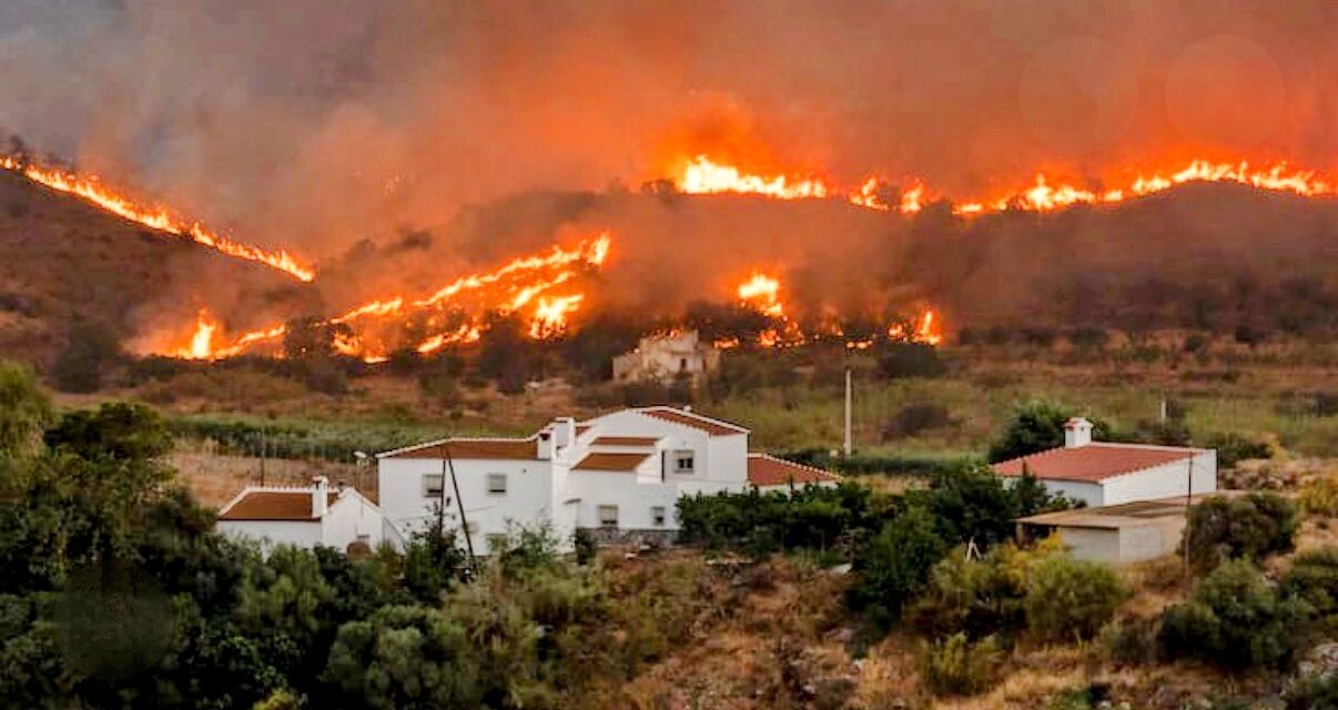 Incendios de sexta generación: “Puedes mandar a toda la UME y a la OTAN, que no los vas a apagar”