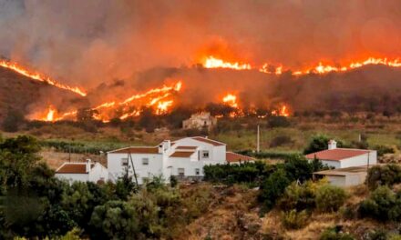 Incendios de sexta generación: “Puedes mandar a toda la UME y a la OTAN, que no los vas a apagar”