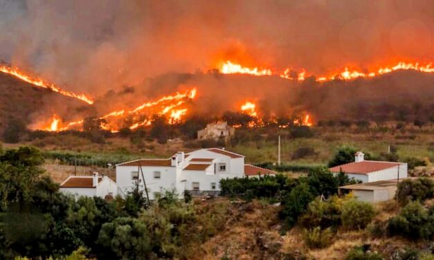 Incendios de sexta generación: “Puedes mandar a toda la UME y a la OTAN, que no los vas a apagar”