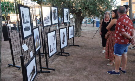 Artistas locales y de muchos puntos de España exponen en el Museo del Vino