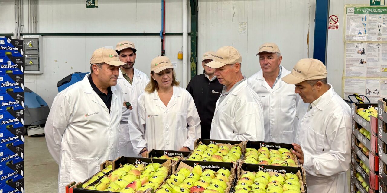 Campos de Jumilla comercializó casi 12.500 toneladas de fruta fresca en la última campaña
