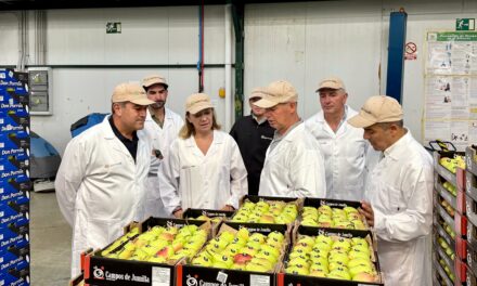 Campos de Jumilla comercializó casi 12.500 toneladas de fruta fresca en la última campaña