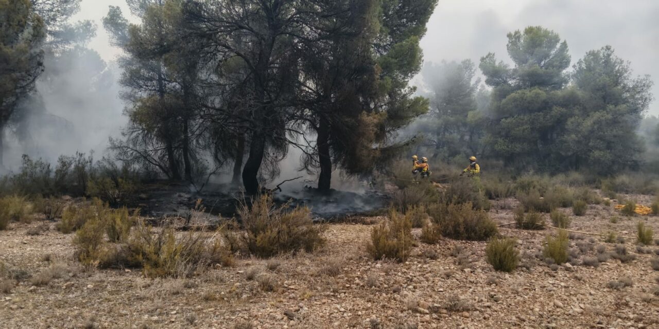 Ayer a las 19.00 horas quedaba extinguido el incendio de Cerro Maestre tras afectar a 110 hectáreas