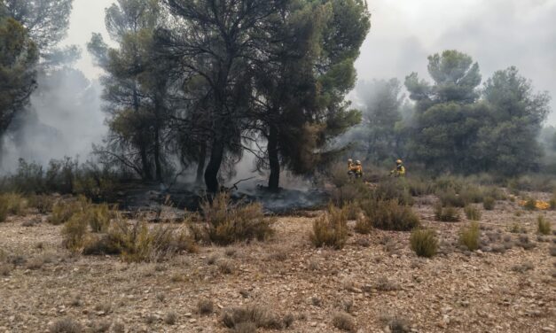 Ayer a las 19.00 horas quedaba extinguido el incendio de Cerro Maestre tras afectar a 110 hectáreas