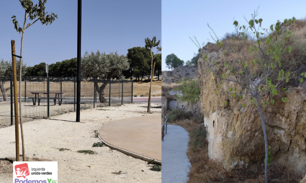 IU-Podemos denuncia la falta de riego y mantenimiento del arbolado en Jumilla
