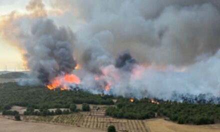 El incendio del Cerro Maestre quedó controlado tras un intenso trabajo de los servicios de extinción