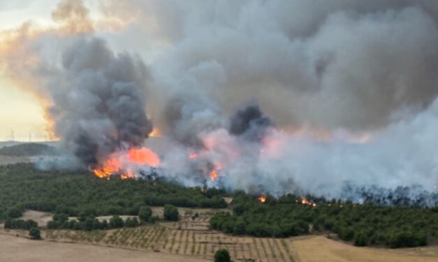 El incendio del Cerro Maestre quedó controlado tras un intenso trabajo de los servicios de extinción
