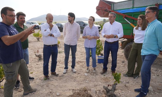 El sector espera una producción de 70 millones de kilos de uva, a pesar de las dificultades que atraviesa