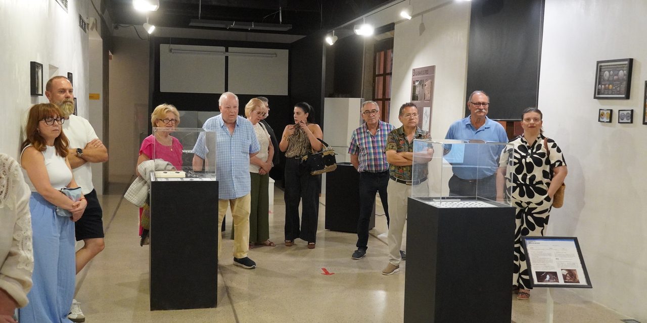 La exposición temporal ‘Monedas perdidas’ muestra “tesoros de información de épocas pasadas”
