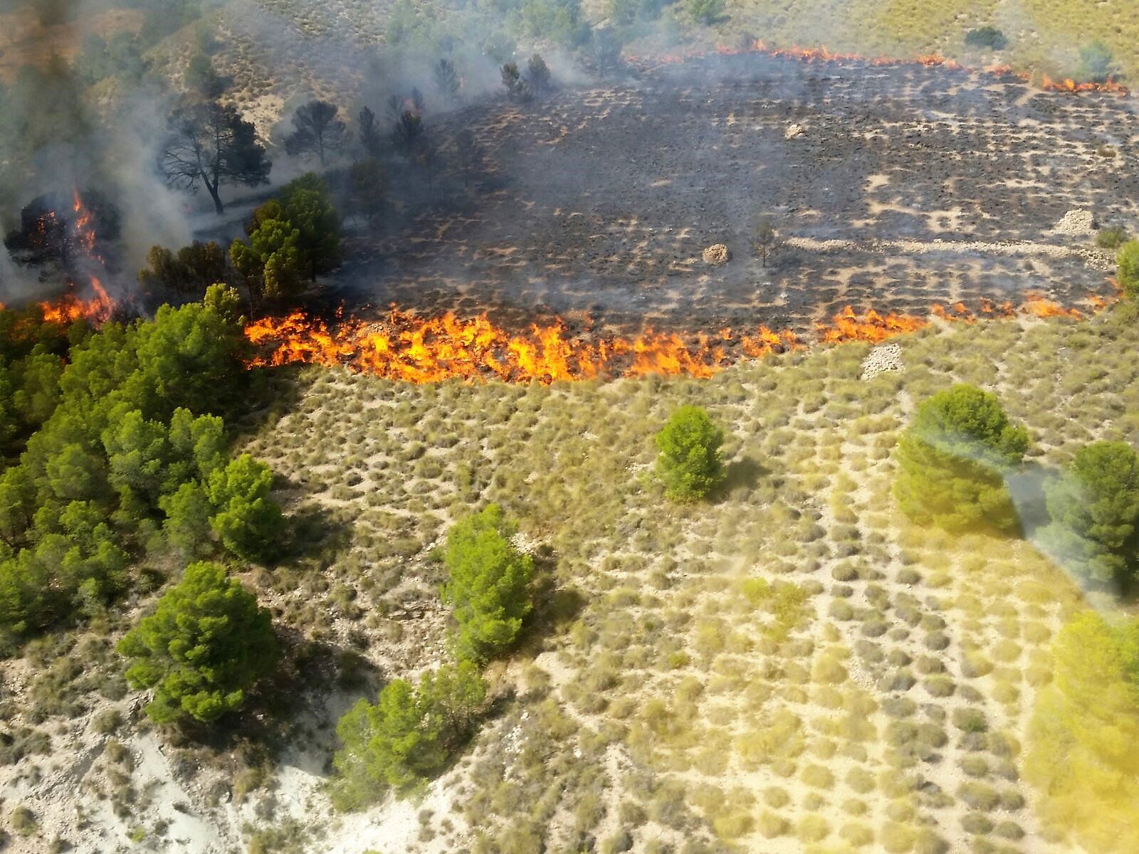 Efectivos del Plan Infomur estabilizan un incendio forestal declarado en la Sierra del Carche