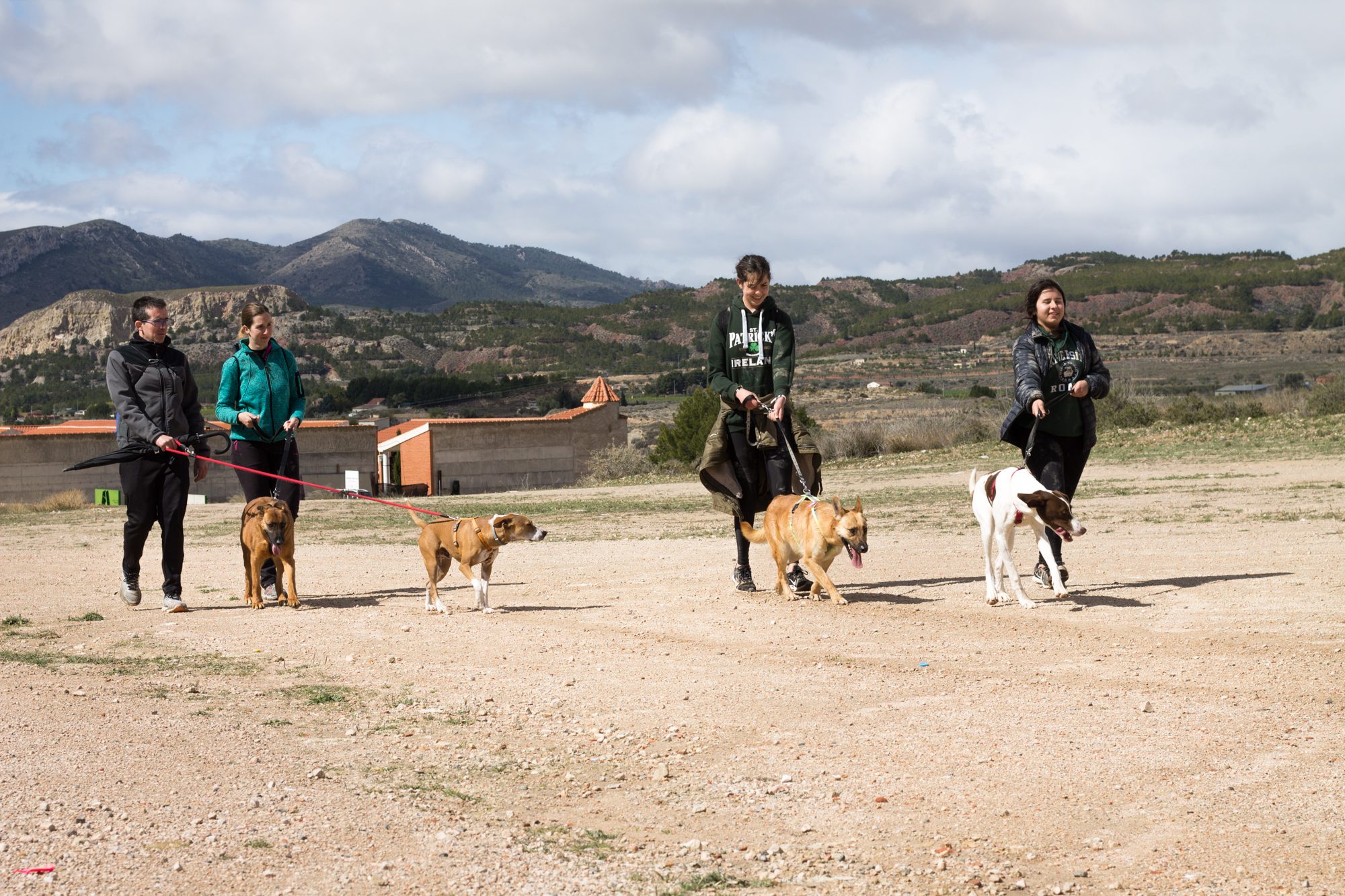 La Asociación 4 Patas recibirá 43.000 euros de subvención prevista en los Presupuestos 2020