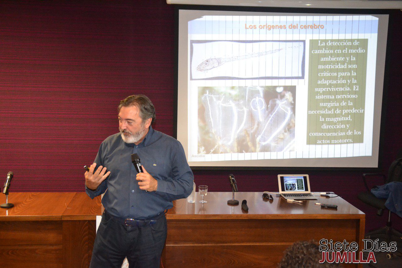 Salvador Martínez Pérez: “La forma de combatir la demencia es teniendo un cerebro activo”